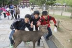奈良公園3.jpg